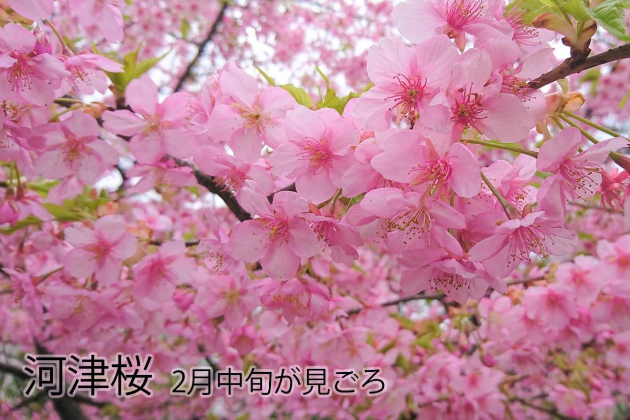 伊豆稲取テラス-寛道- Villa Simoda Kültér fotó